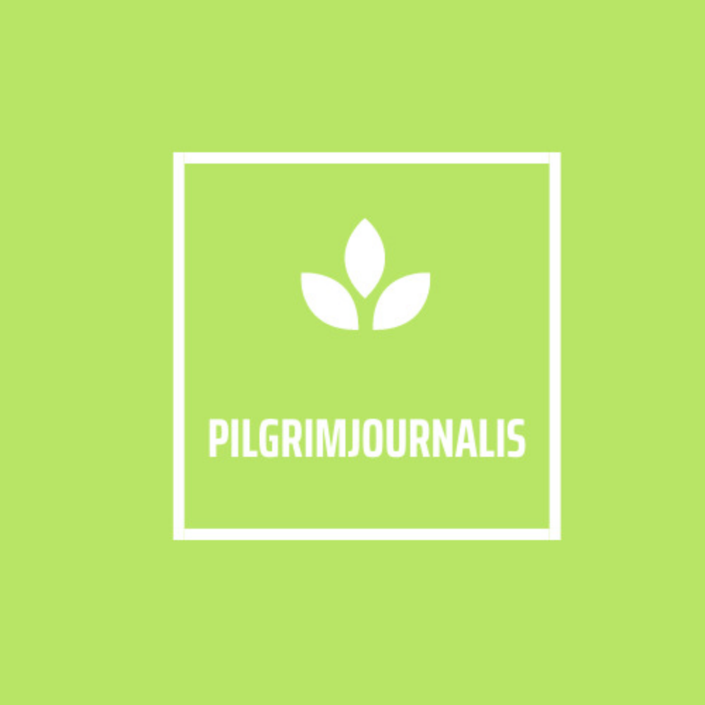 You.pilgrimjournalist.com